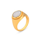 Noir Haven Signet Ring - Gold